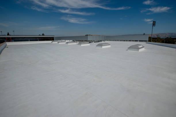 Best Rubber Roofing (EPDM, TPO)  in Prophetstown, IL